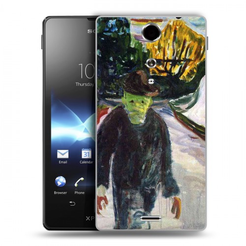 Дизайнерский пластиковый чехол для Sony Xperia TX