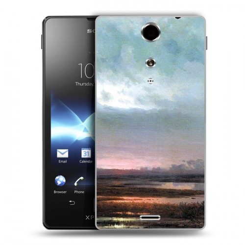 Дизайнерский пластиковый чехол для Sony Xperia TX