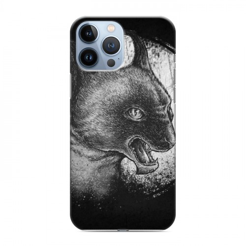 Дизайнерский силиконовый чехол для Iphone 13 Pro Max Мистические кошки