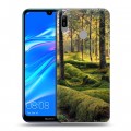 Дизайнерский пластиковый чехол для Huawei Y6 (2019)