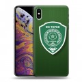 Дизайнерский силиконовый чехол для Iphone Xs Max Терек