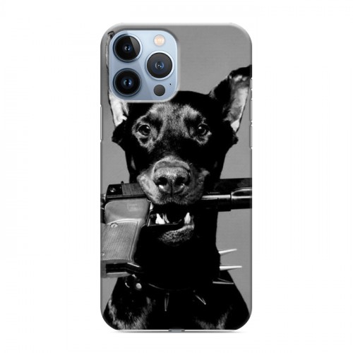 Дизайнерский пластиковый чехол для Iphone 13 Pro Max Креатив дизайн