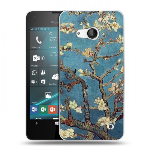 Дизайнерский пластиковый чехол для Microsoft Lumia 550 Креатив дизайн