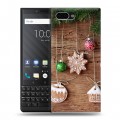 Дизайнерский пластиковый чехол для BlackBerry KEY2 Игрушки и подарки