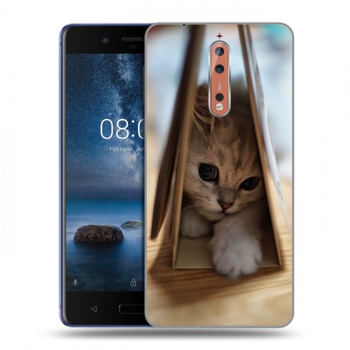 Дизайнерский пластиковый чехол для Nokia 8 Котята