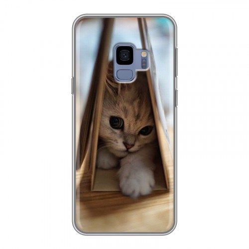 Дизайнерский пластиковый чехол для Samsung Galaxy S9 Котята