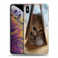 Дизайнерский силиконовый чехол для Iphone Xs Max Котята