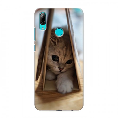 Дизайнерский пластиковый чехол для Huawei P Smart (2019) Котята