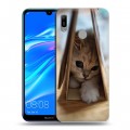 Дизайнерский пластиковый чехол для Huawei Y6 (2019) Котята