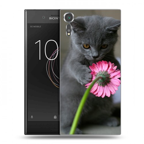 Дизайнерский пластиковый чехол для Sony Xperia XZs Котята