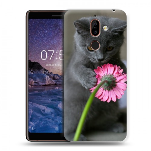 Дизайнерский пластиковый чехол для Nokia 7 Plus Котята