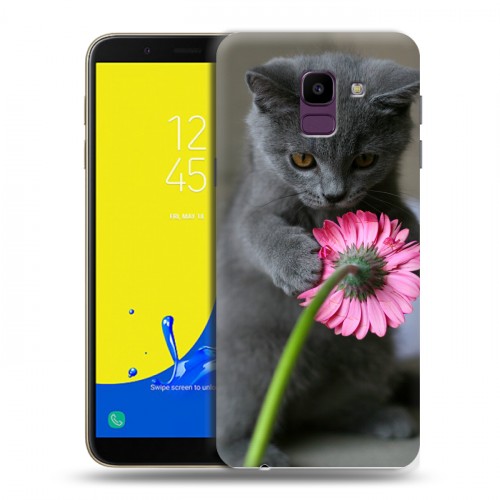 Дизайнерский пластиковый чехол для Samsung Galaxy J6 Котята