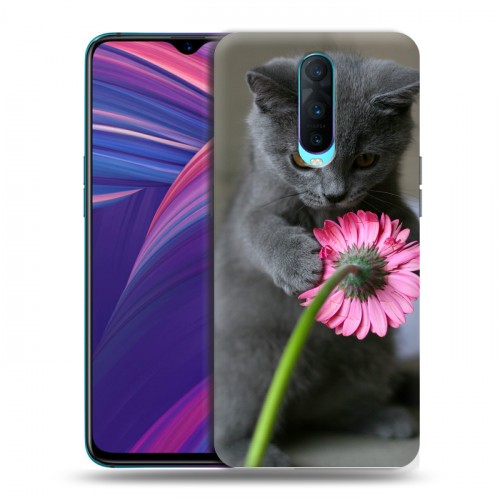 Дизайнерский пластиковый чехол для OPPO RX17 Pro Котята