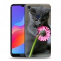 Дизайнерский пластиковый чехол для Huawei Honor 8A Котята