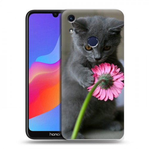 Дизайнерский пластиковый чехол для Huawei Honor 8A Котята