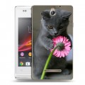 Дизайнерский пластиковый чехол для Sony Xperia E Котята