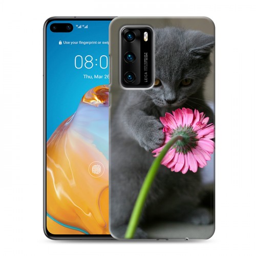 Дизайнерский пластиковый чехол для Huawei P40 Котята