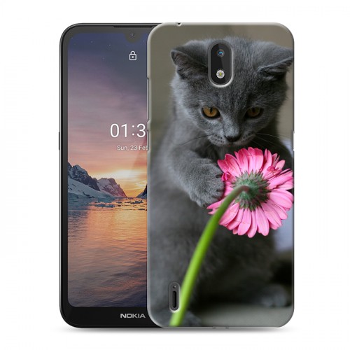 Дизайнерский силиконовый чехол для Nokia 1.3 Котята