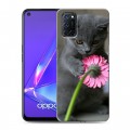 Дизайнерский пластиковый чехол для OPPO A52 Котята