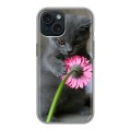 Дизайнерский силиконовый чехол для Iphone 15 Котята