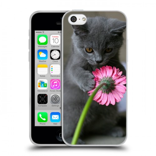 Дизайнерский пластиковый чехол для Iphone 5c Котята