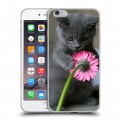 Дизайнерский силиконовый чехол для Iphone 6 Plus/6s Plus Котята