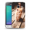Дизайнерский силиконовый чехол для Samsung Galaxy J1 mini (2016) Котята