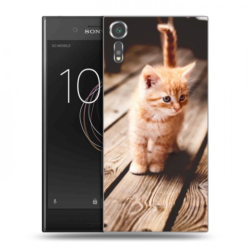 Дизайнерский пластиковый чехол для Sony Xperia XZs Котята