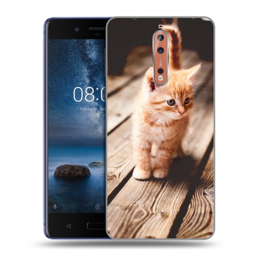 Дизайнерский пластиковый чехол для Nokia 8 Котята