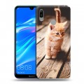 Дизайнерский пластиковый чехол для Huawei Y6 (2019) Котята