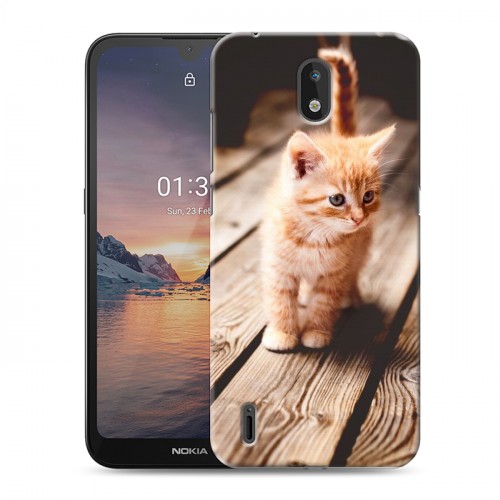 Дизайнерский силиконовый чехол для Nokia 1.3 Котята