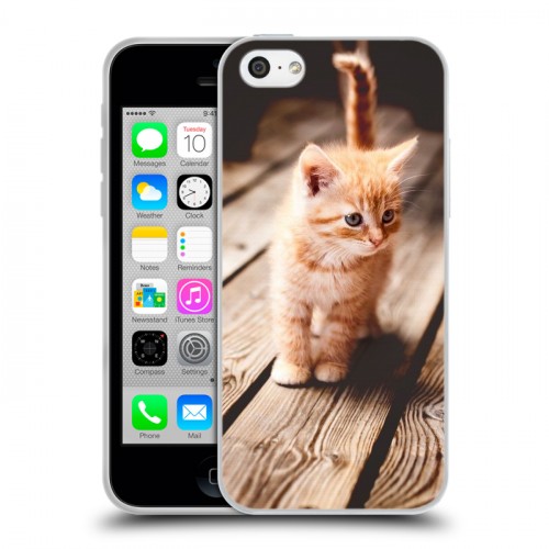 Дизайнерский пластиковый чехол для Iphone 5c Котята