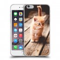 Дизайнерский силиконовый чехол для Iphone 6 Plus/6s Plus Котята