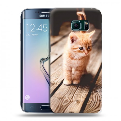 Дизайнерский пластиковый чехол для Samsung Galaxy S6 Edge Котята