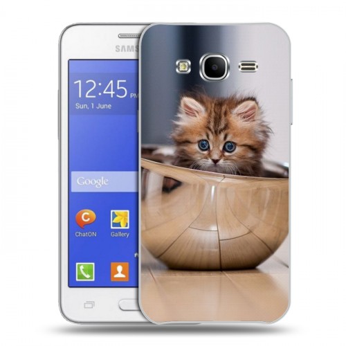 Дизайнерский пластиковый чехол для Samsung Galaxy J7 Котята