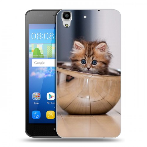 Дизайнерский пластиковый чехол для Huawei Y6 Котята