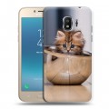 Дизайнерский пластиковый чехол для Samsung Galaxy J2 (2018) Котята