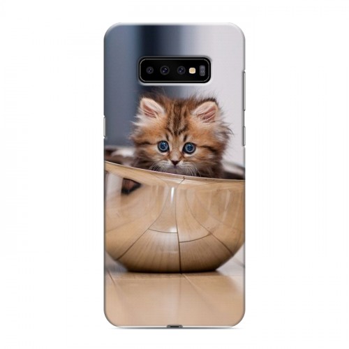 Дизайнерский пластиковый чехол для Samsung Galaxy S10 Plus Котята