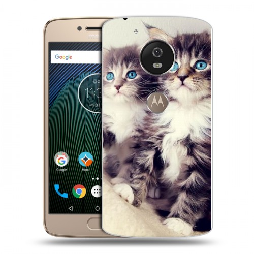 Дизайнерский силиконовый чехол для Motorola Moto G5s Котята