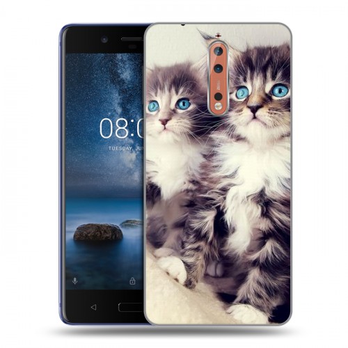 Дизайнерский пластиковый чехол для Nokia 8 Котята