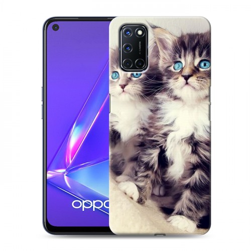 Дизайнерский пластиковый чехол для OPPO A52 Котята