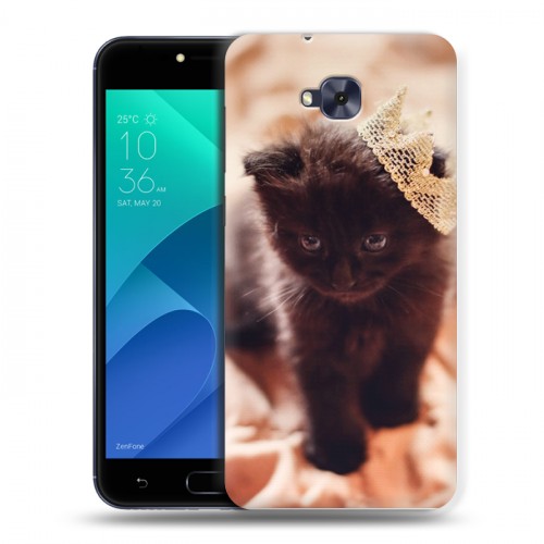 Дизайнерский пластиковый чехол для ASUS ZenFone 4 Selfie Котята