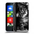 Дизайнерский пластиковый чехол для Nokia Lumia 620 Котята