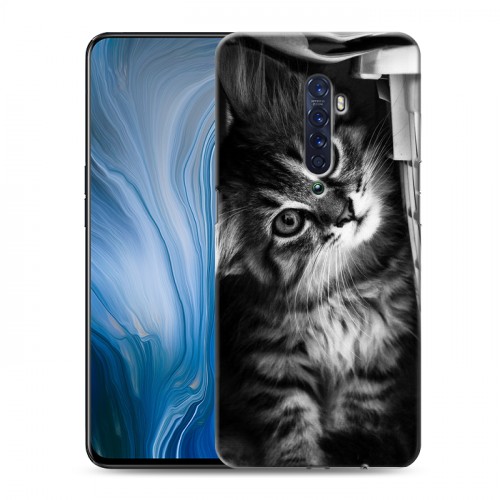 Дизайнерский пластиковый чехол для OPPO Reno2 Z Котята