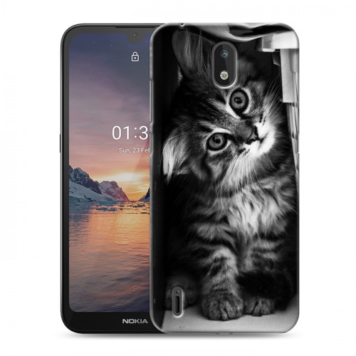 Дизайнерский силиконовый чехол для Nokia 1.3 Котята