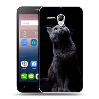 Дизайнерский силиконовый чехол для Alcatel One Touch POP 3 5.5 Кошки (на заказ)