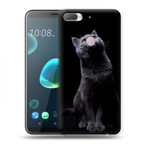 Дизайнерский пластиковый чехол для HTC Desire 12 Plus Кошки
