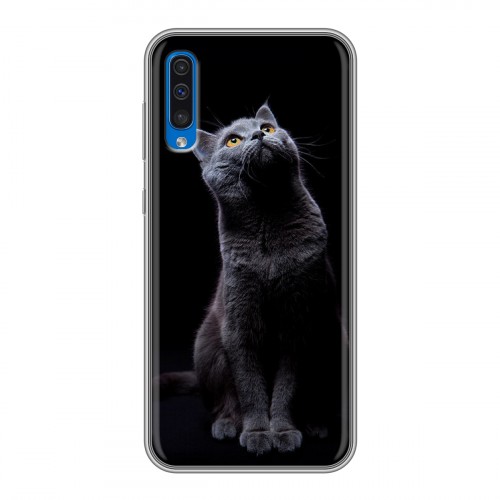Дизайнерский силиконовый чехол для Samsung Galaxy A50 Кошки