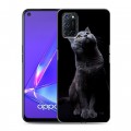 Дизайнерский пластиковый чехол для OPPO A52 Кошки