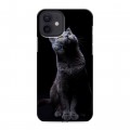 Дизайнерский силиконовый чехол для Iphone 12 Кошки